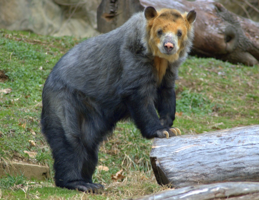 Tour Rosamond Gifford Zoo PocketSights
