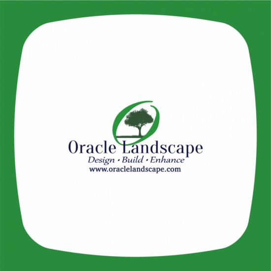 Oracle Landscape