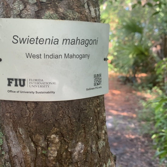 Tropical Hardwood Hammock Nature Preserve Tour PocketSights