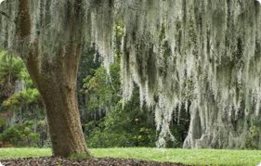 Tour KickerilloMischer Preserve Plant Tour PocketSights
