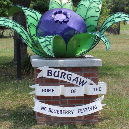 Burgaw Blueberry Statue Blueberry Trail PocketSights