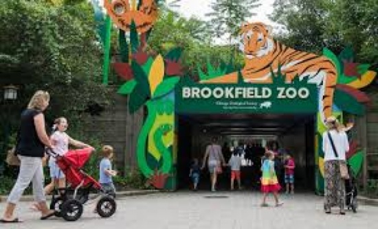8400 W. 31st St.: Brookfield Zoo
