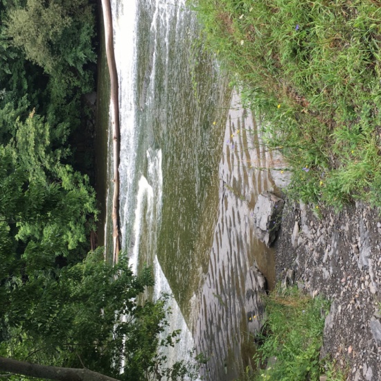 Flat Rock 21 Things to Do at Cornell Botanic Gardens Before You Graduate PocketSights