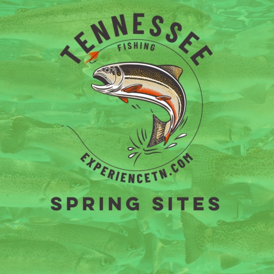 Shoal Creek David Crockett State Park Trout Fishing Sites