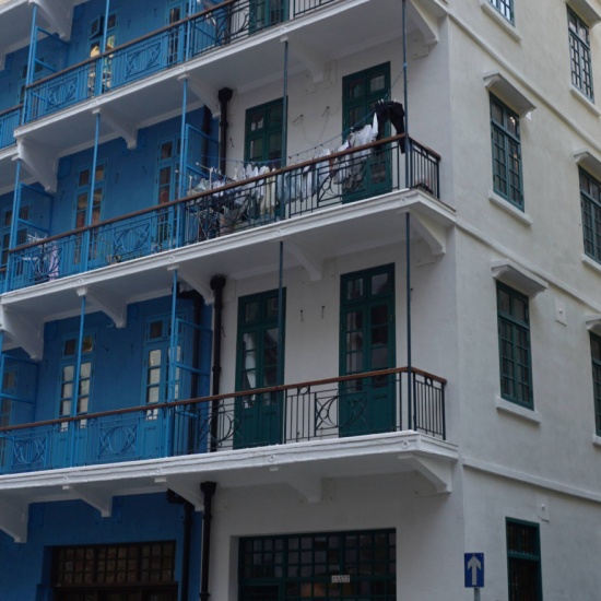 Blue House