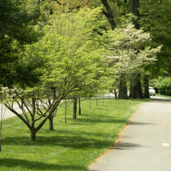 Tour - Lakemoor Hills Dogwood Trail - PocketSights