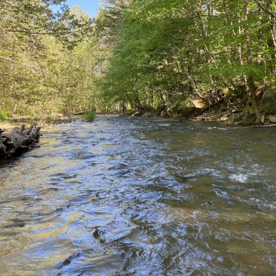 North Fork Moormans River - Sugar Hollow- Charlottesville, VA ...