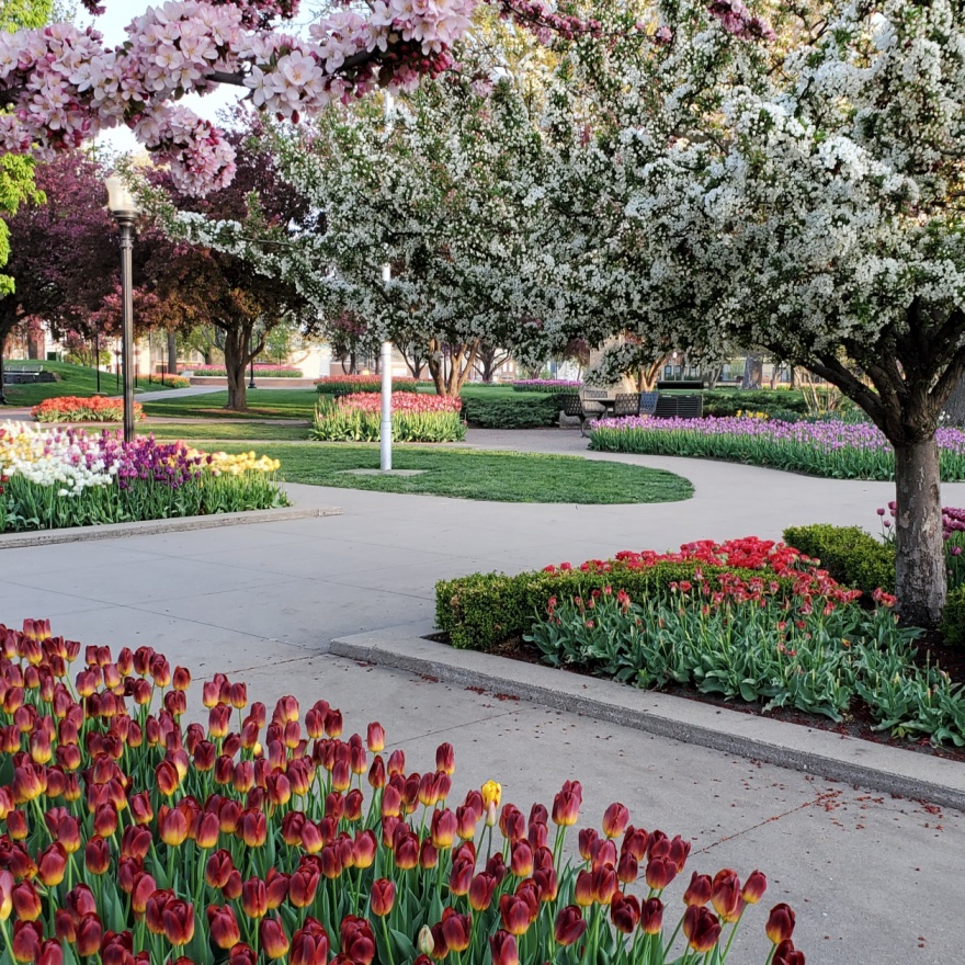 Tour - Pella's Gorgeous Gardens - PocketSights