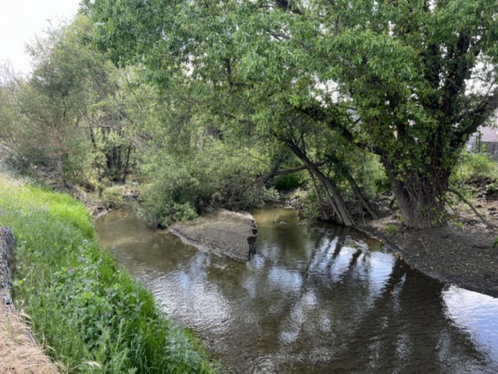 Tribal Connections - Creek and Fish