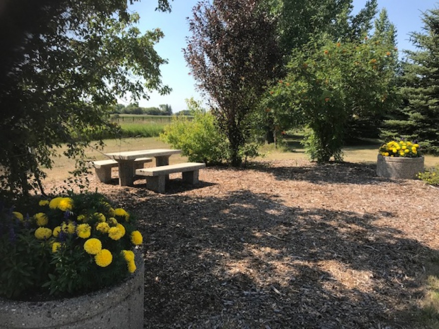 Tour Saltcoats, Saskatchewan, Canada PocketSights